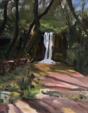 La cascade de Salasc - Paysages