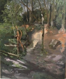 La carrière de Saulx - Paysages