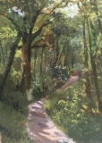 Chêne en forêt de Saulx - Paysages