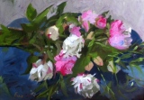 Pivoines - Natures mortes