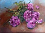 Pivoines roses - Natures mortes
