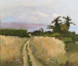 Allée fleurie - L'Ile de Ré...